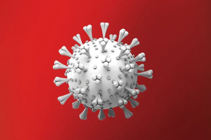 coronavirus4