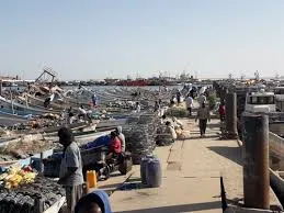 ندرة الإخطبوط تسببت في ركود اقتصادي في قطاع الصيد التقليدي/ الأخبار