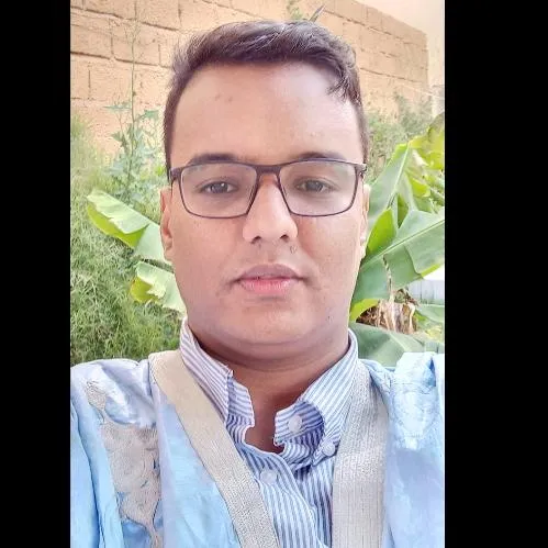 المهندس إسماعيل ولد أحمد