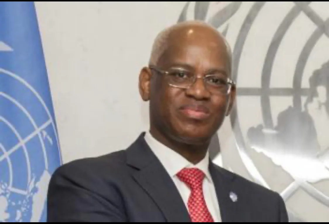 القاسم وان: المبعوث الأممي إلى مالي 