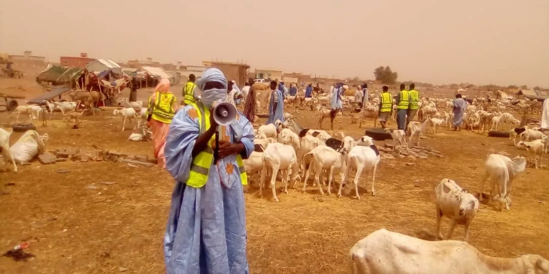 بعض نشطاء الجمعية في سوق بيع الأغنام في المدينة 