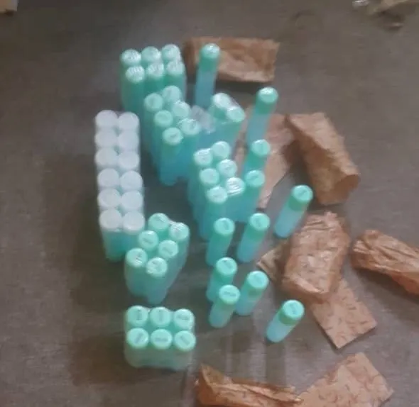 214205534_129684485973812_52414928241392894_n