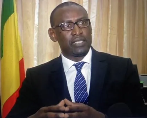 عبدولاي ديوب: وزير الخارجية المالي 