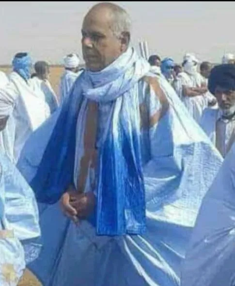 الشيخ محمد بن الشيخ محمد المصطفى بن الشيخ أحمد أبي المعالى