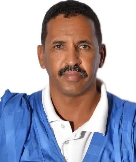 محمد الأمين ولد إدوم - مخطط بوزارة التهذيب الوطني