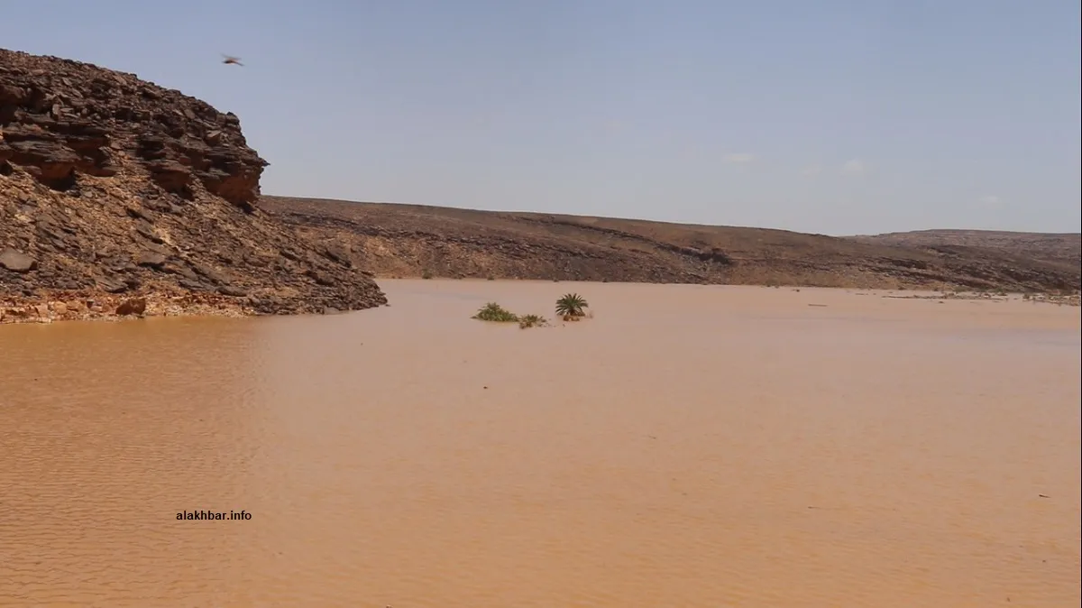 مياه السد قبل نحو أسبوعين (الأخبار)