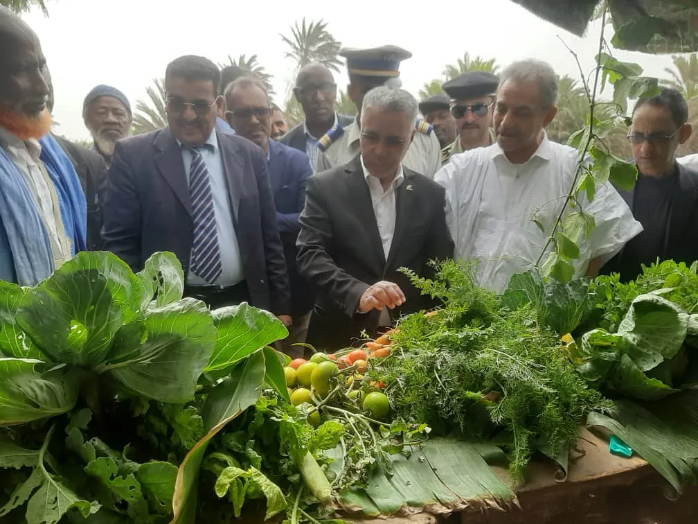 جانب من زيارة الوالي رفقة السلطات إلى مزارع المدينة