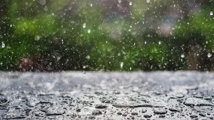 3847102632020_8