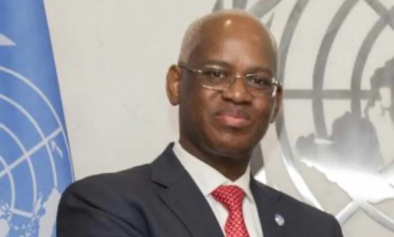 القاسم وان: رئيس بعثة "مينيسما" في مالي 