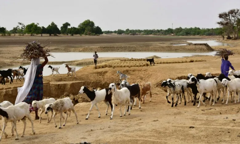 nigeria_18_morts_dans_des_accrochages_entre_eleveurs_et_agriculteurs_1666336598