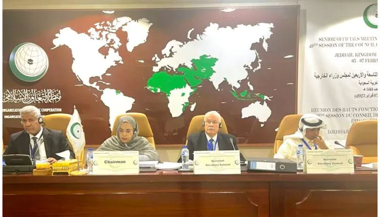 الأمينة العامة لوزارة الخارجية العالية بنت منكوس خلال ترأسها للاجتم