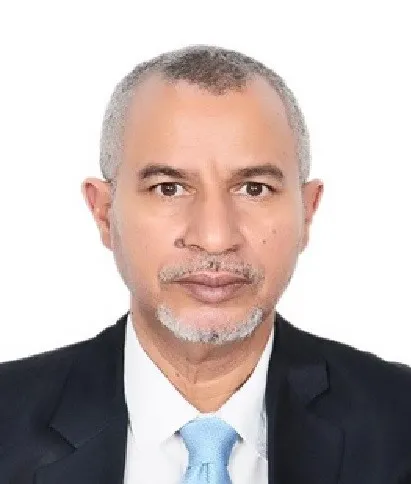 الحاج سيدي ابراهيم سيدي يحي - مهندس في مجال البترول