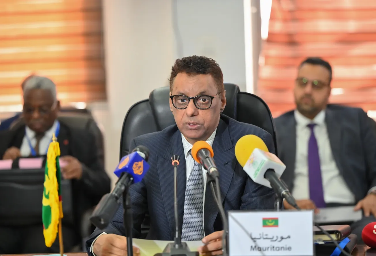 وزير الاقتصاد والتنمية المستديمة، رئيس مجلس وزراء مجموعة دول الساحل
