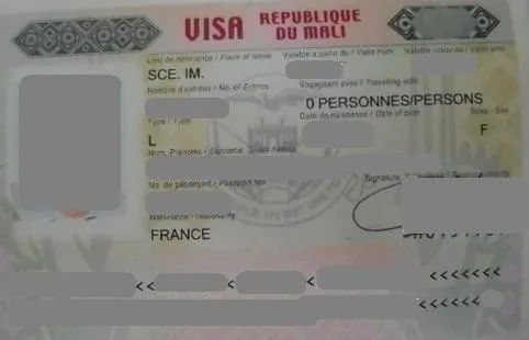 Visa d'entree simple