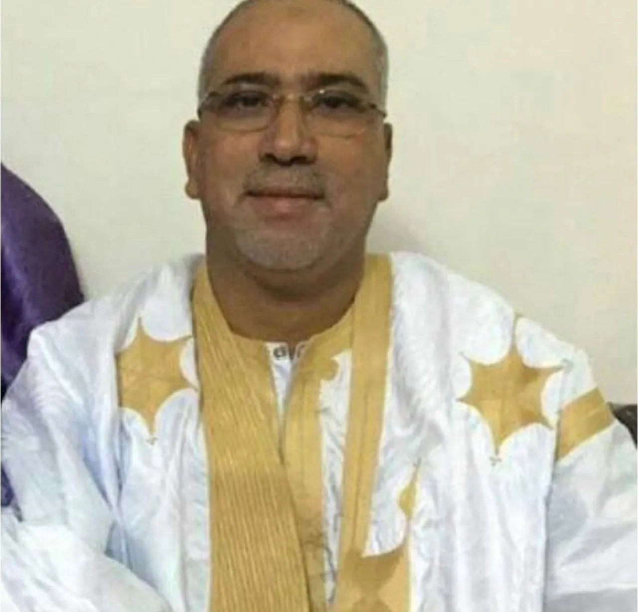 المحامي محمد الأمين ولد أحمدو