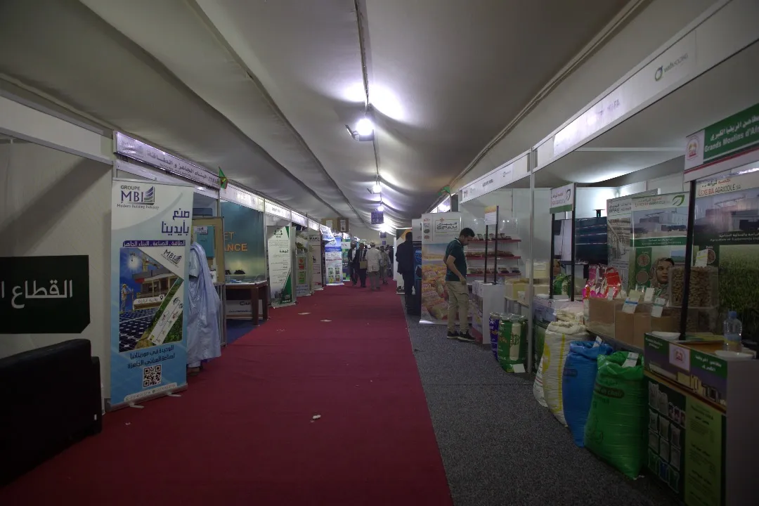 354ae065-883f-4b7c-a5aa-82cfec93eafc