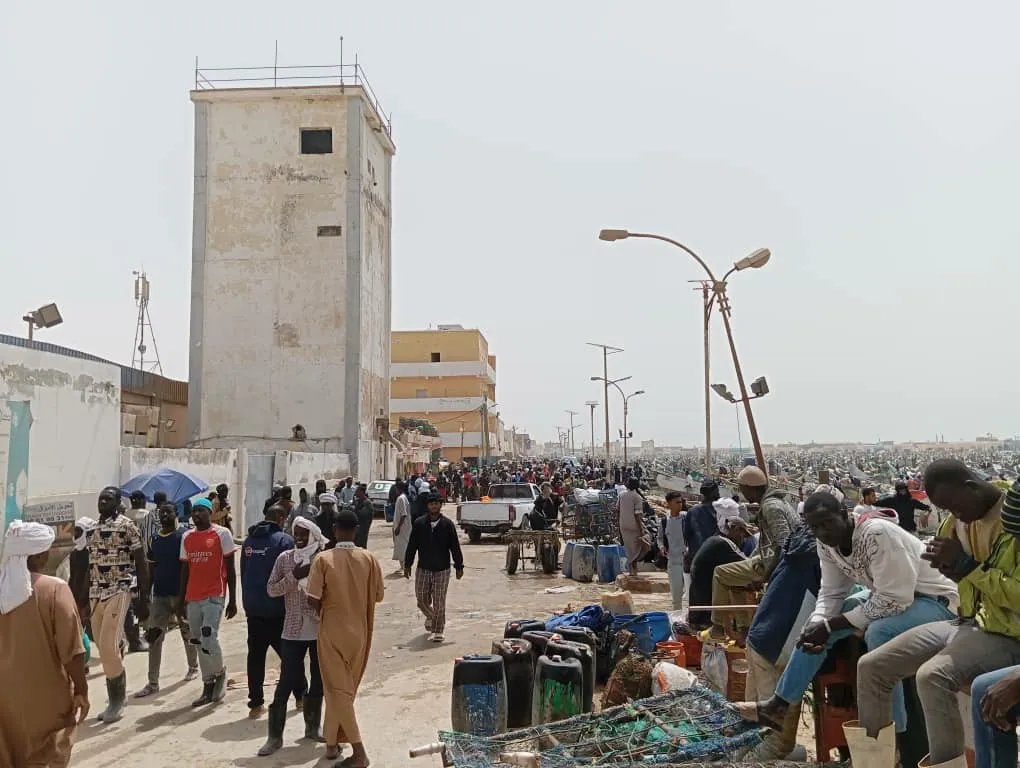 بدت الحركية كثيفة جدا في أول أيام استئناف نشاط الصيد التقليدي بالمين