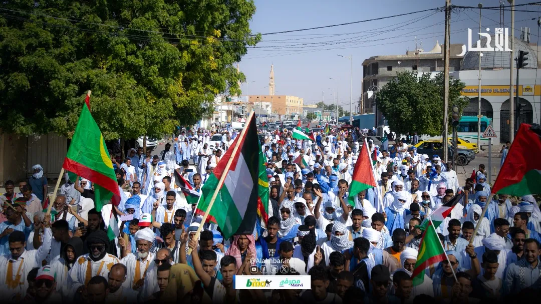 dd4ee767-01e5-47d1-ad13-5e3d342a11f6