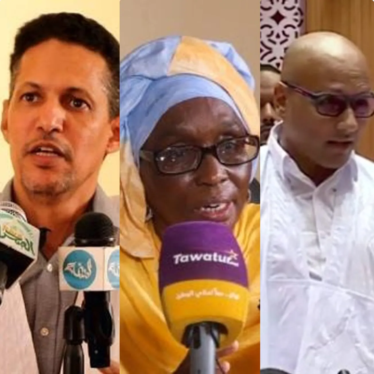 النواب يحيى ولد اللود، كادياتا مالك جاللو، ومحمد الأمين سيدي مولود