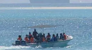 download - 2021-07-03T153622