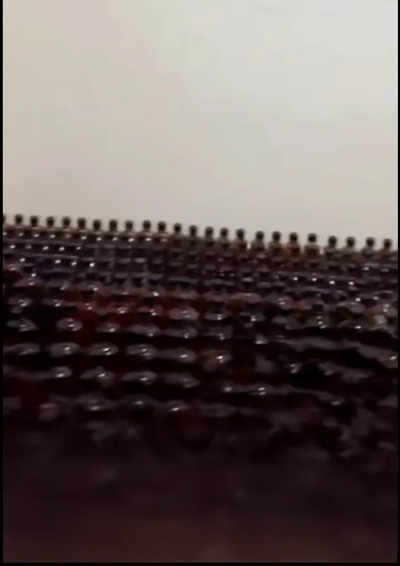 4879583975