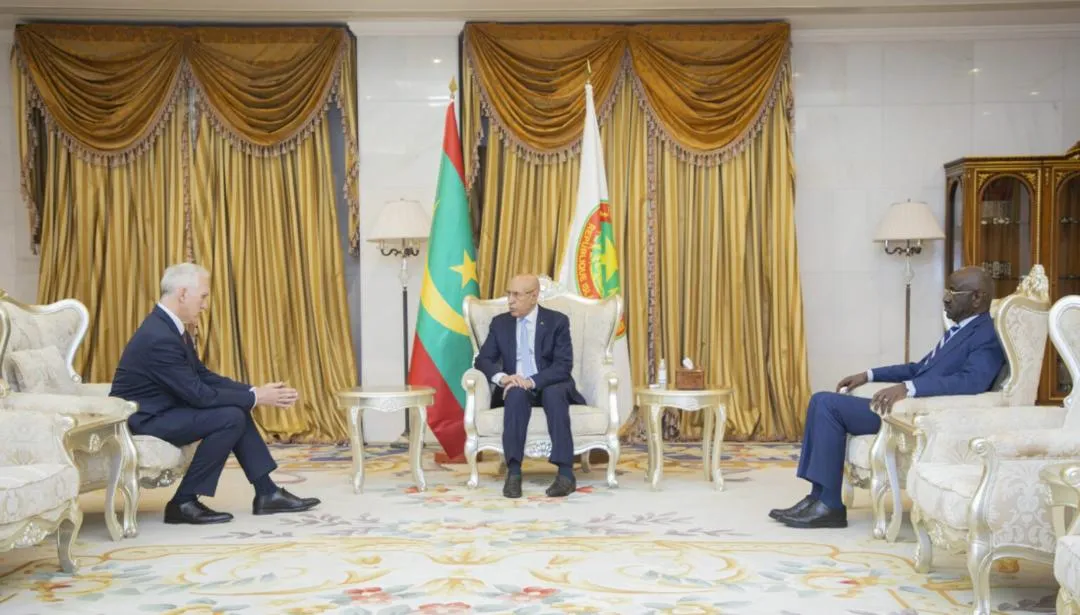 السفير البريطاني غاي هاريسون خلال تقديم أوراق اعتماده للرئيس محمد و?