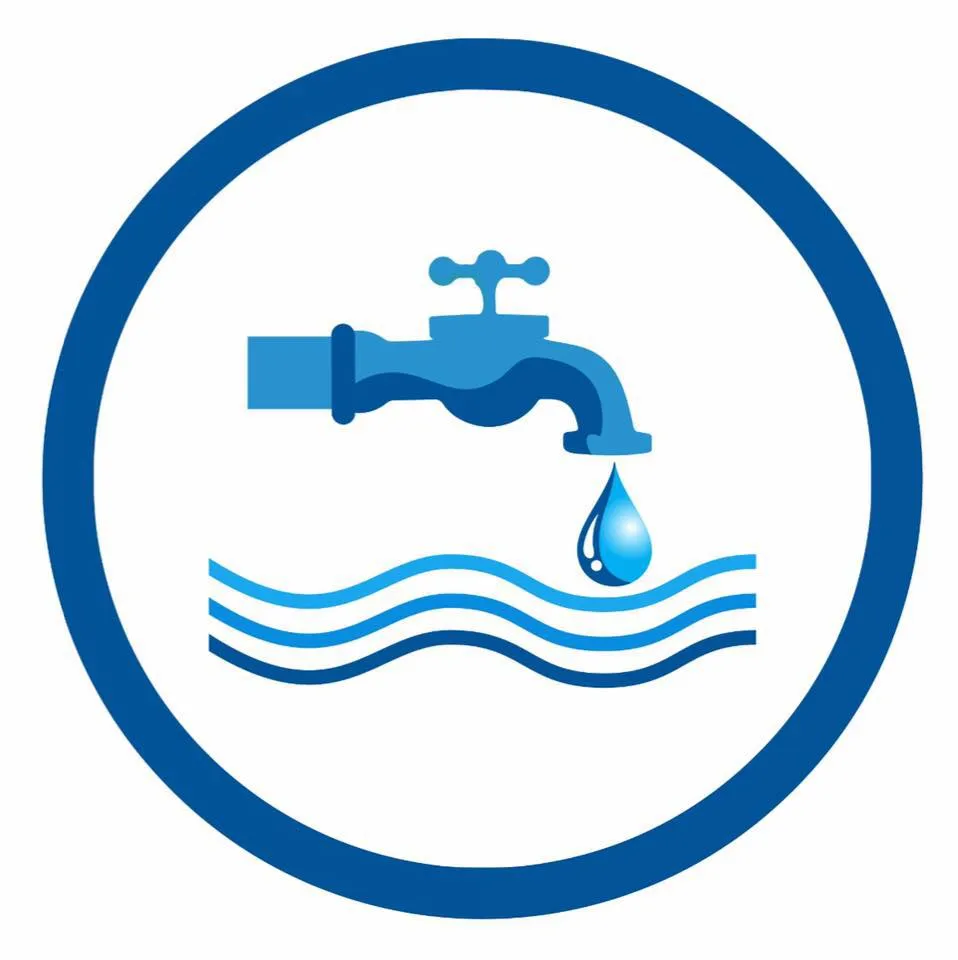 61391325_421539728399636_5803844218241679360_n