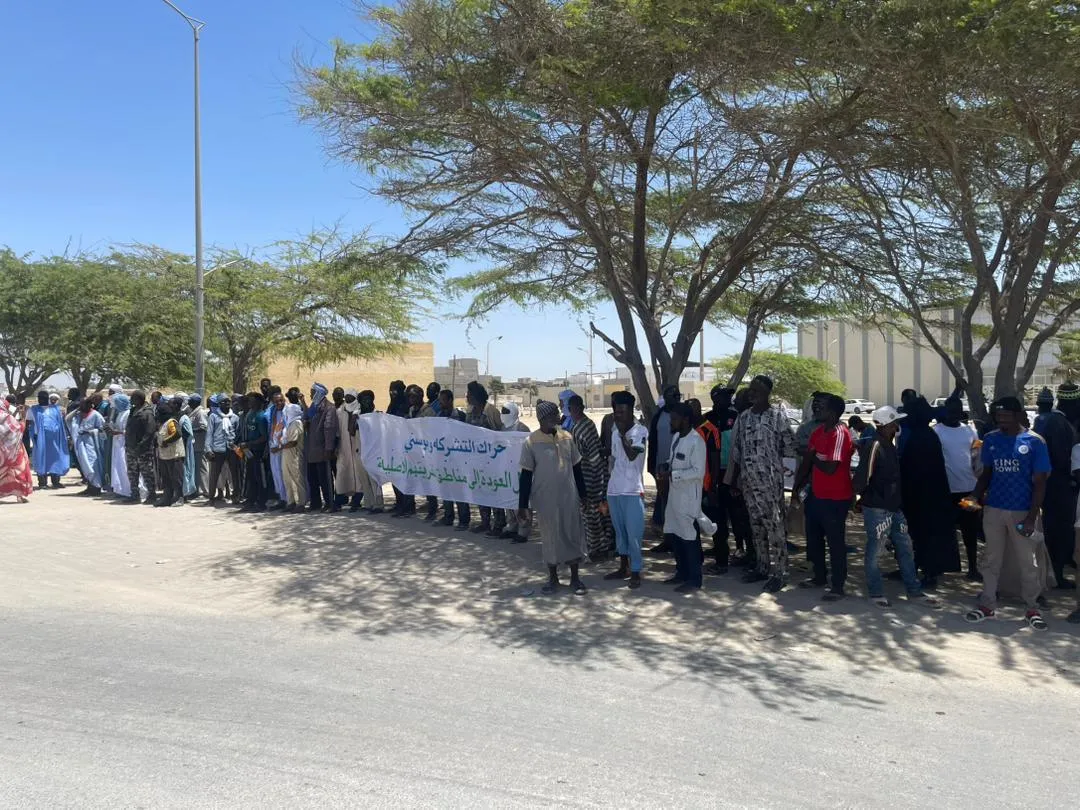 جانب من احتجاجات يومية للمعتصمين تحت الشجرة / الأخبار