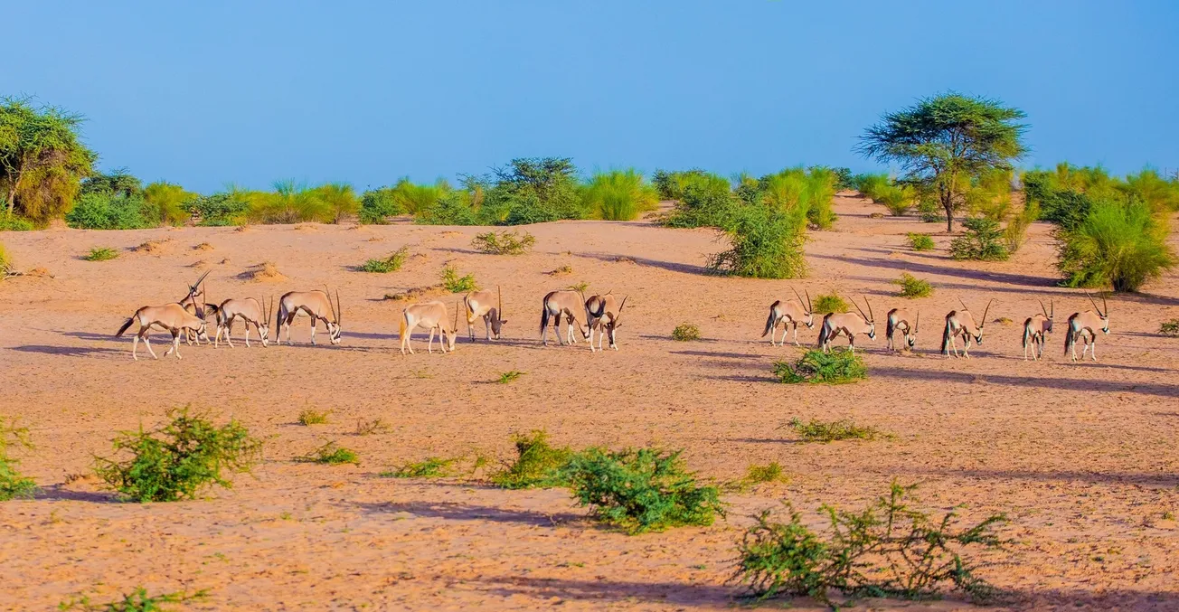 518392099_1093262966236051_4469785033065220212_n