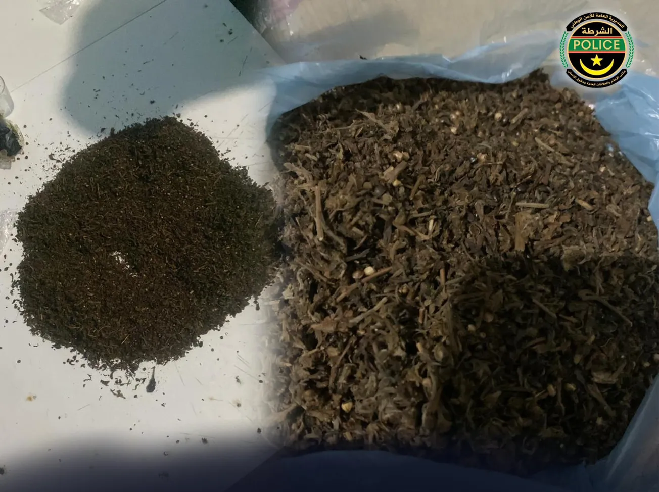 528026209_1065402355756571_7766650002349594041_n