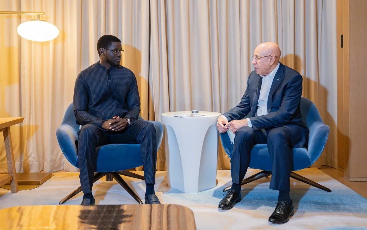 536175339_1198141345680769_282788396092228272_n