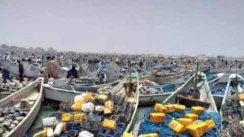 54855296-f46e-46e1-adce-55bf2ab67a67