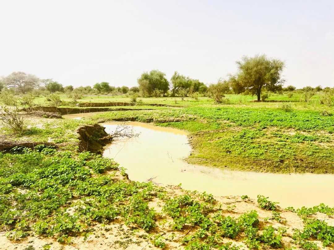 89875532-0861-4170-8271-b7c1a2d01a21