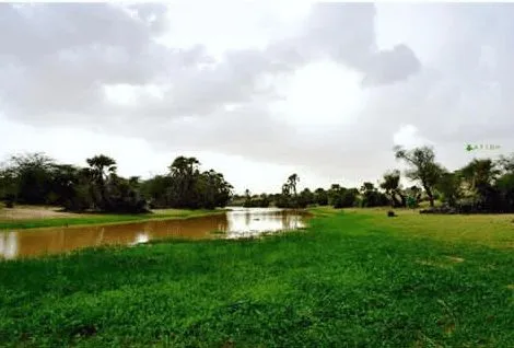 IMG-20250827-WA0673(2)