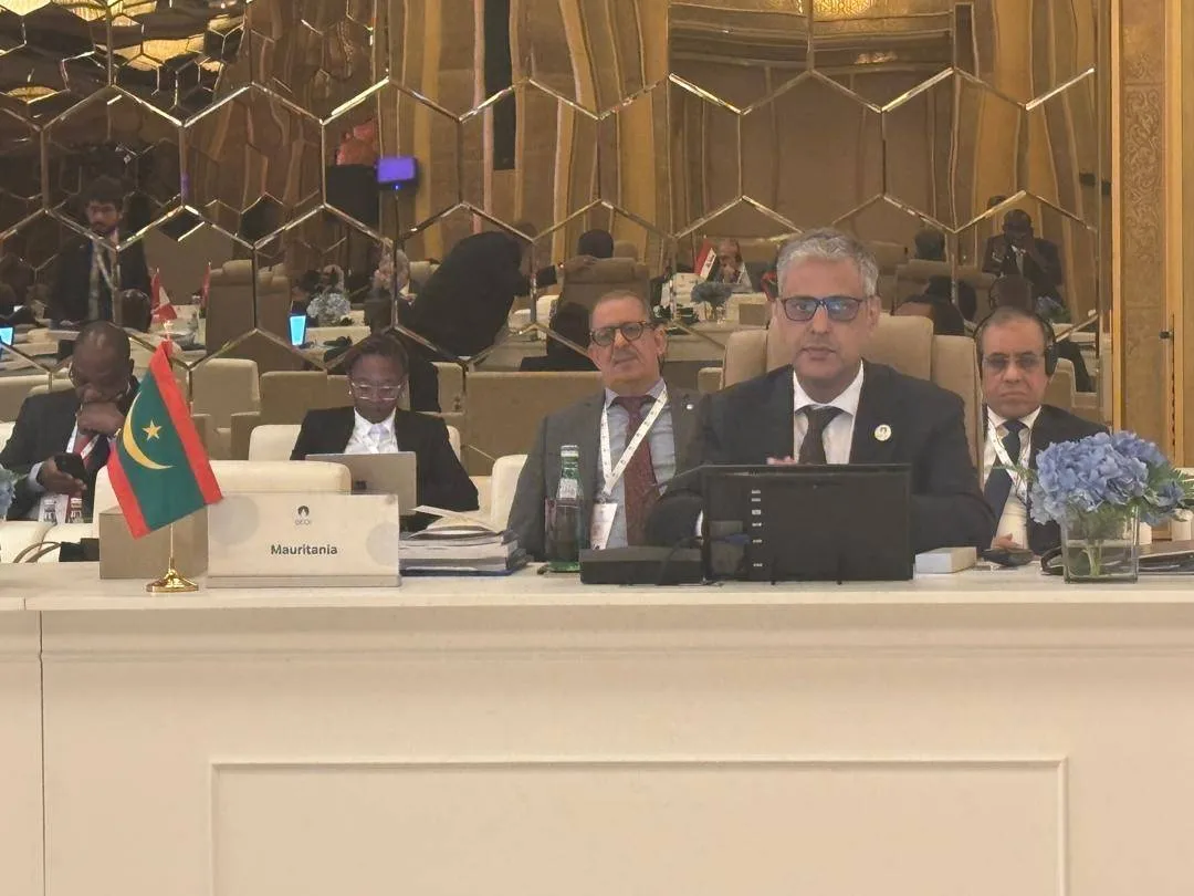 571164813_1227840036054403_7266707227212191903_n