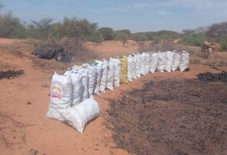 582325064_122149522388811727_3118208376992280493_n