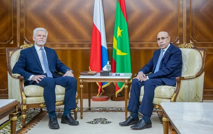 FB_IMG_1744037041640