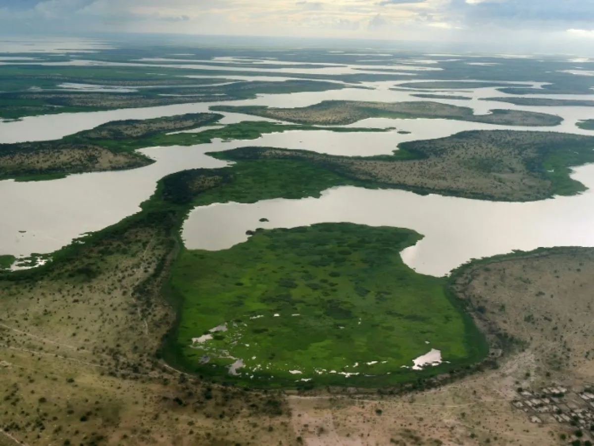 cover-r4x3w1200-5e9099ef4ff35-49514739d346f75cfc0a7cbc1f9ff2545f09032e-jpg