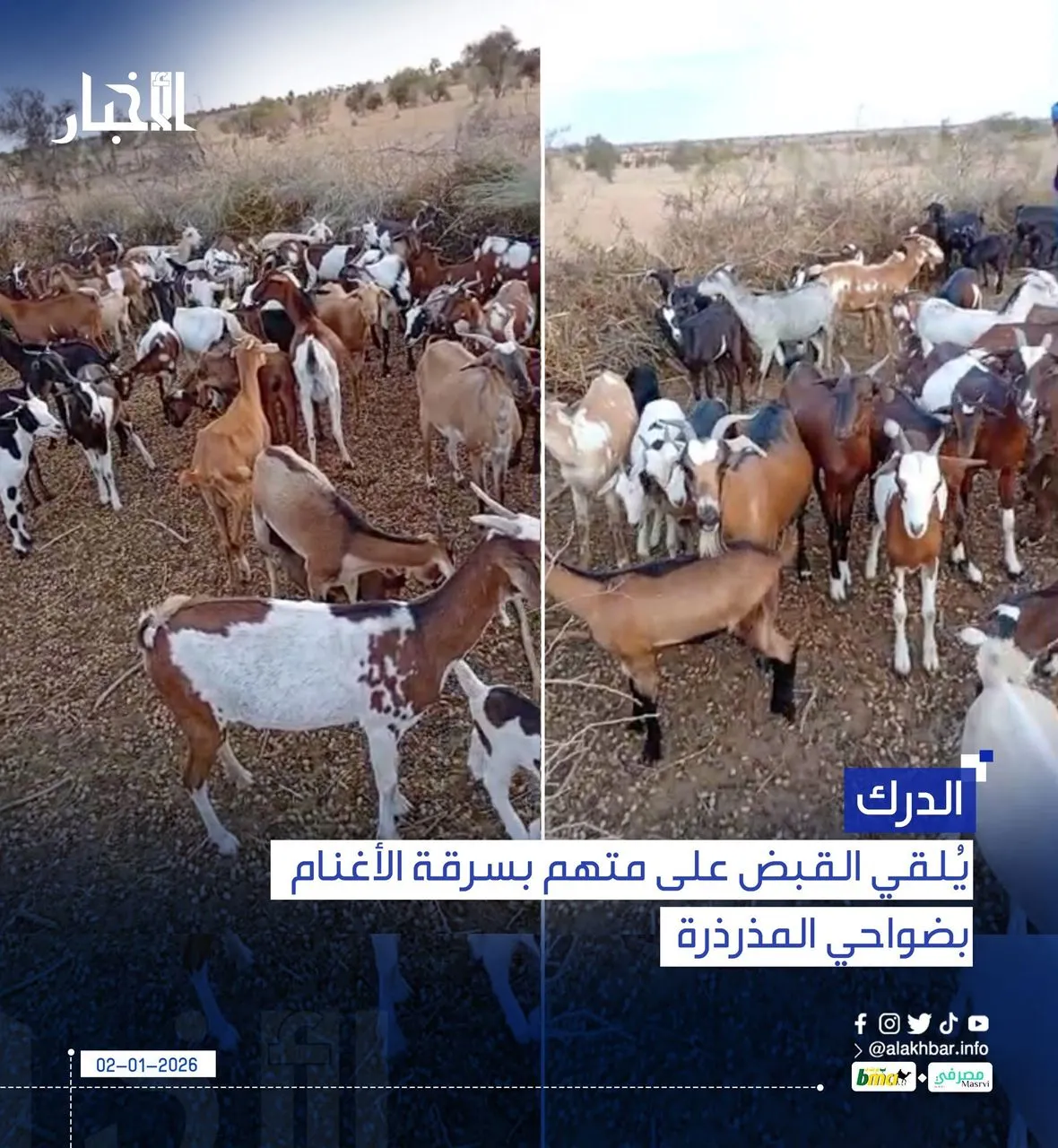 WhatsApp Image 2026-01-02 at 16